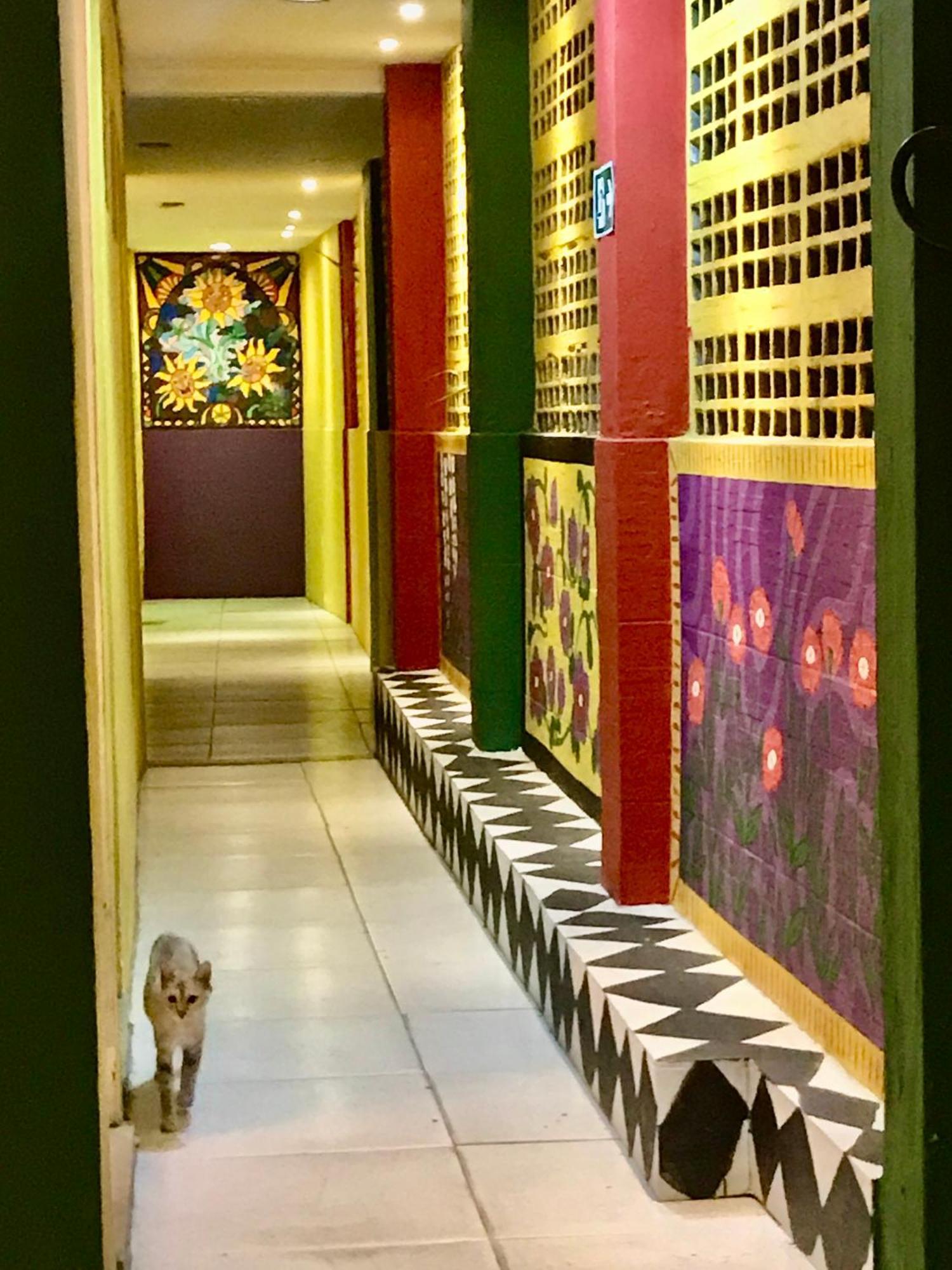 Hostel Do Rasta Салвадор Екстер'єр фото